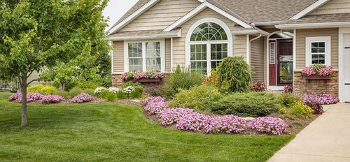 House with a well-maintained garden featuring pink flowers and green grass.