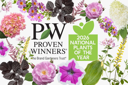 Promotional graphic for Proven Winners 2026 National Plants of the Year with flowers and leaves.