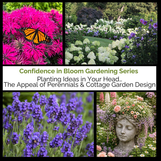 Collage of garden scenes with text about planting ideas - -