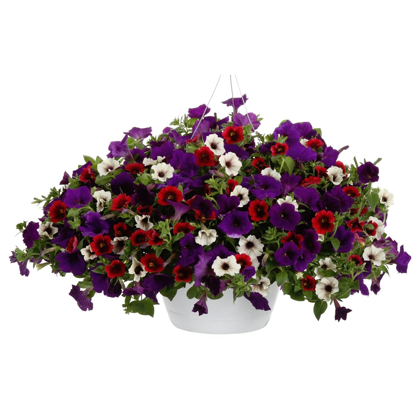 The Decadent Annual Combination is a white hanging basket featuring a mix of vibrant petunias in purple, red, and white, accented by lush green foliage - Photo Courtesy of Proven Winners, Inc. Decorative pot not included.