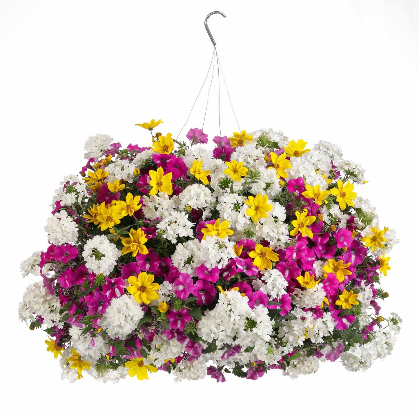The Rockin' Rush Annual Combination is a hanging basket with a three-in-one mix of white, pink, and yellow flowers, set against a plain white background - Photo Courtesy of Proven Winners, Inc. Decorative pot not included.