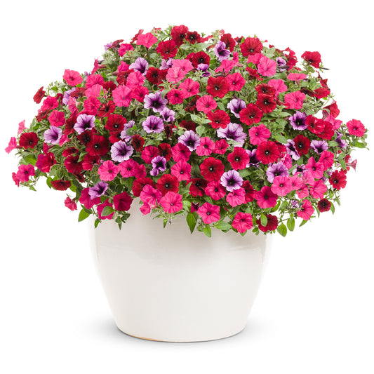 Grand Traverse Annual Combination -