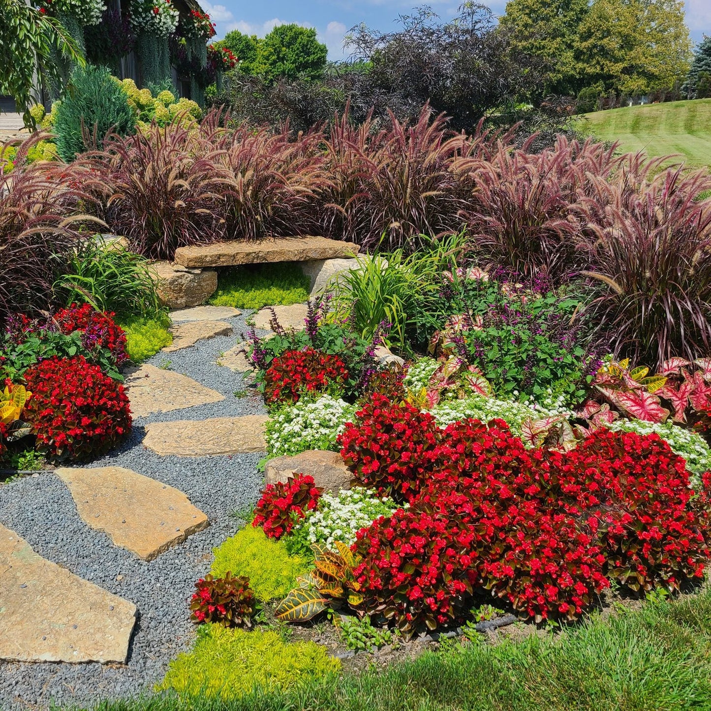 A landscaped garden features a stone pathway and bench, surrounded by Double Up™ Red Begonia flowers, green shrubs, white blossoms, and ornamental grasses on a sunny day - Photo Property of Garden Crossings LLC