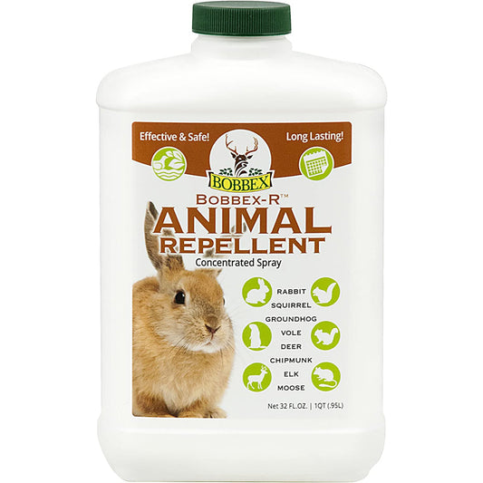 A bottle of Bobbex-R Animal Repellent Concentrate Spray with rabbit and animal icons on the label, showcasing its natural, long-lasting, and safe protection against rabbits and other animals. - Photo Courtesy of Bobbex®