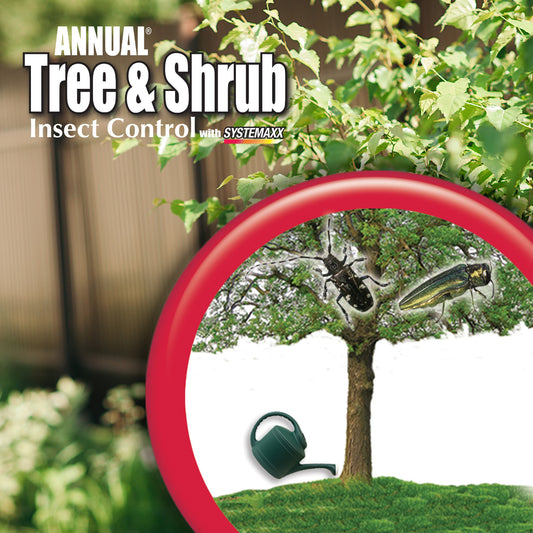 Bonide® Annual Tree & Shrub Insect Control Concentrate - Photo Courtesy of Bonide®
