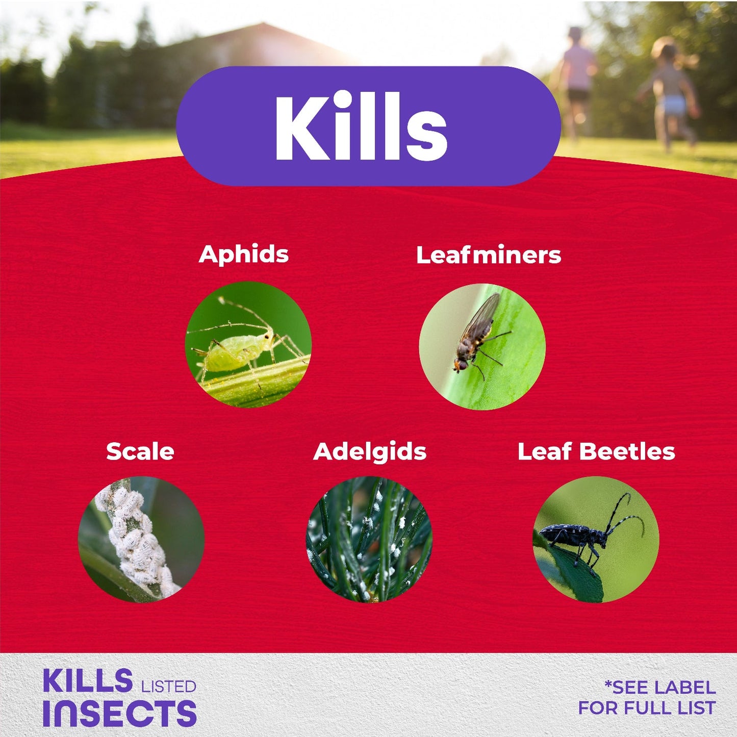 Image highlighting that Bonide® Annual Tree & Shrub Insect Control Concentrate kills aphids, leafminers, scale, adelgids, and leaf beetles—ideal for powerful protection of trees and shrubs. Circles show each pest on a red background; people walk in sunlight behind - Photo Courtesy of Bonide®