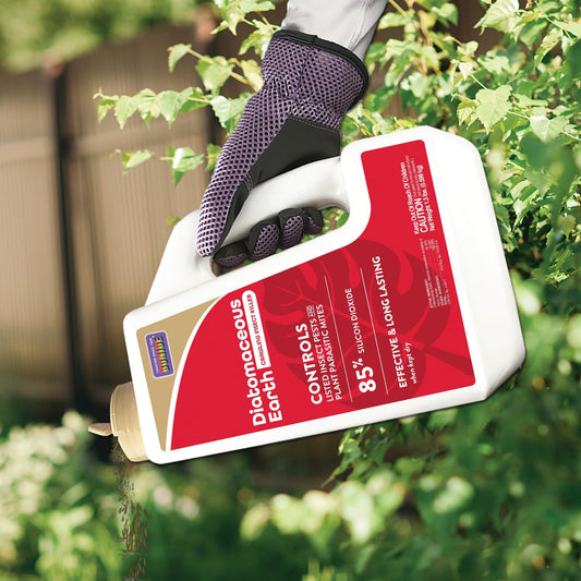 A gloved hand sprinkles Bonide® Diatomaceous Earth over green bushes outdoors. The label highlights its effectiveness and long-lasting control against crawling insects - Photo Courtesy of Bonide®