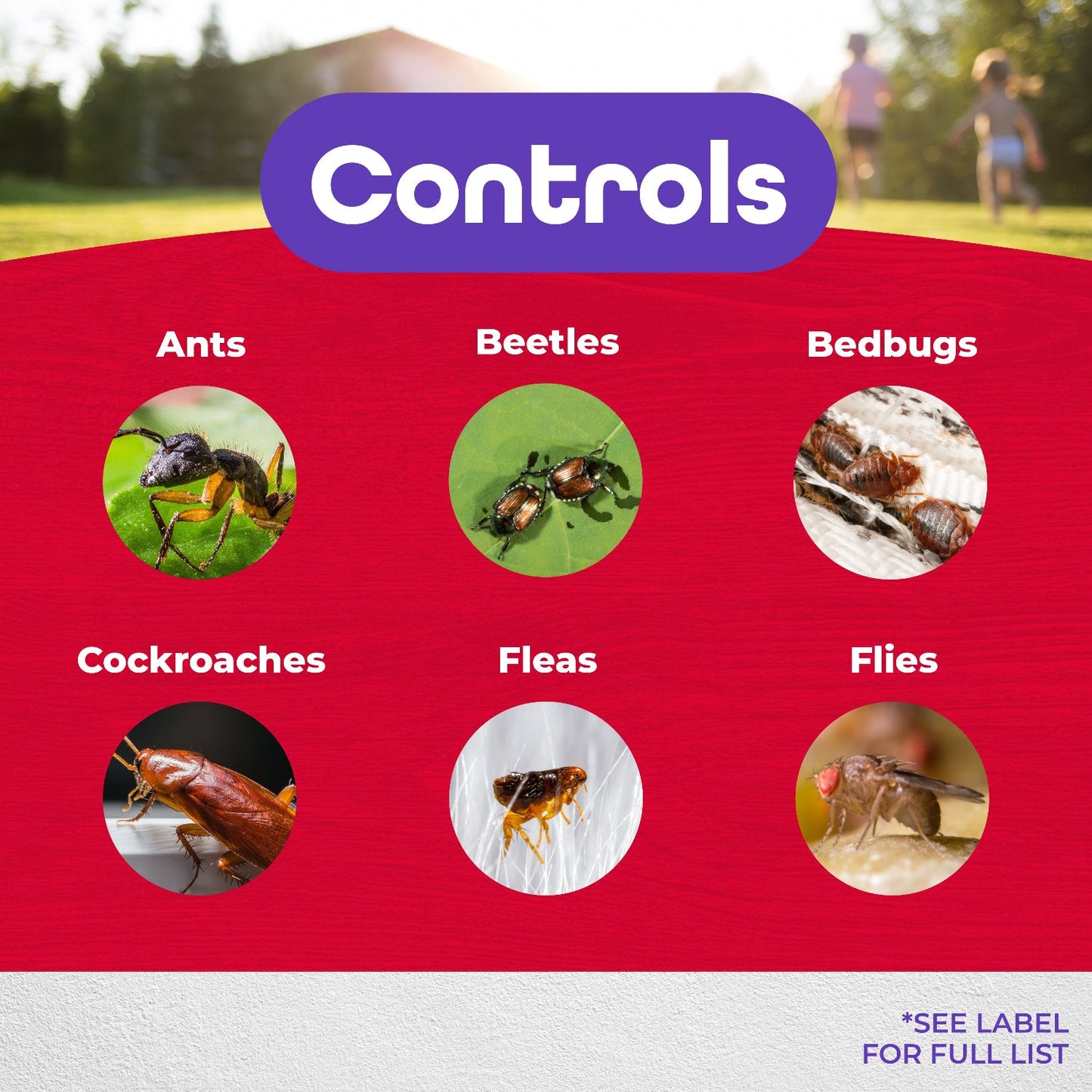Chart with photos of six crawling insects—ants, beetles, bedbugs, cockroaches, fleas, and flies—under the heading "Controlled by Bonide® Diatomaceous Earth." The red background shows kids playing outside in a blurred image at the top - Photo Courtesy of Bonide®