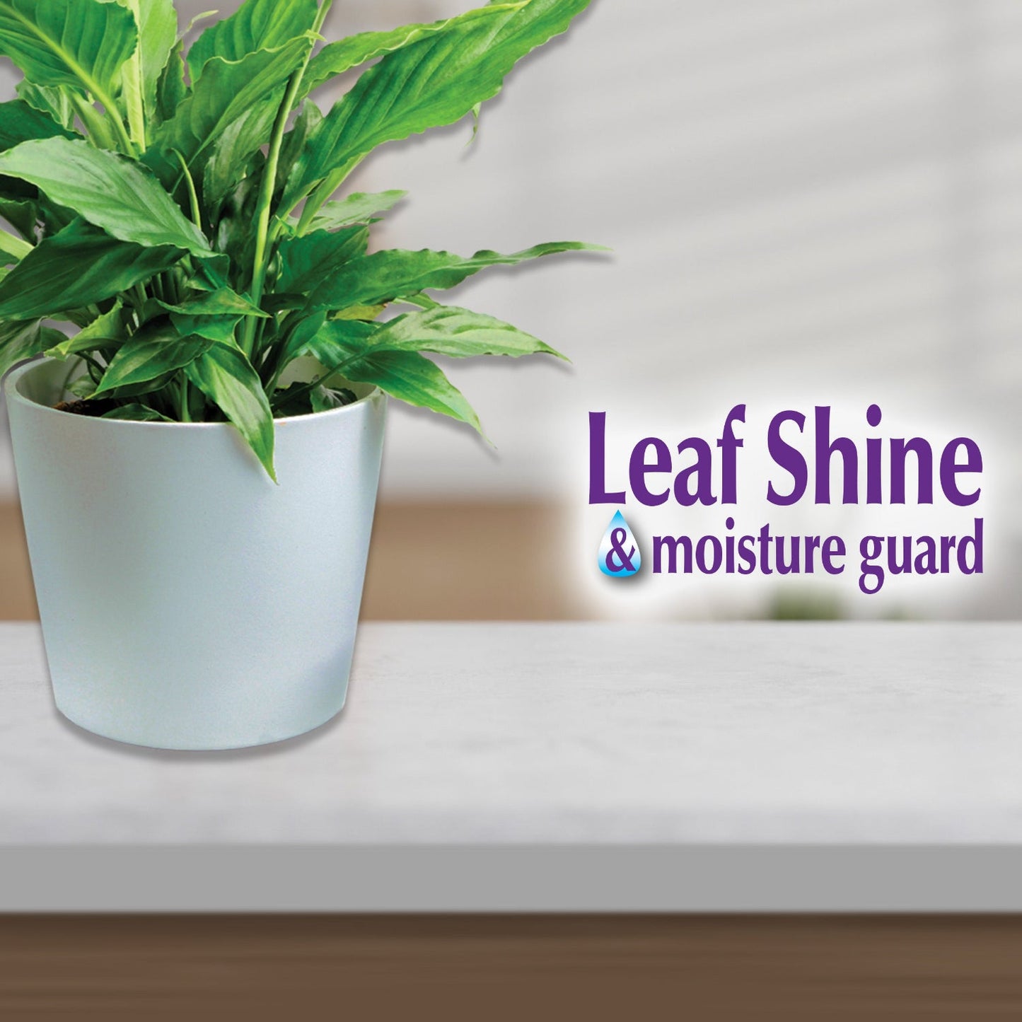 A green potted plant on a white surface is shown with the text "Bonide® Leaf Shine & Moisture Guard Spray" in purple and blue, highlighting easy care and an indoor plant cleaner for vibrant, healthy leaves - Photo Courtesy of Bonide®