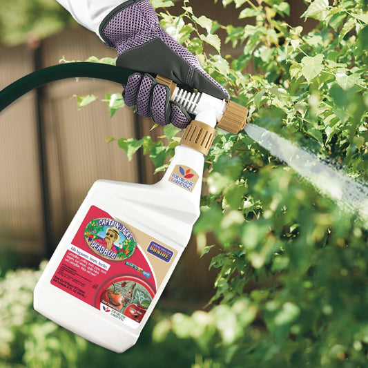 A gloved hand uses Captain Jack’s® DeadBug Brew® Ready to Spray with a hose-end sprayer on leafy plants, providing effective pest control ideal for organic gardening - Photo Courtesy of Captain Jacks®