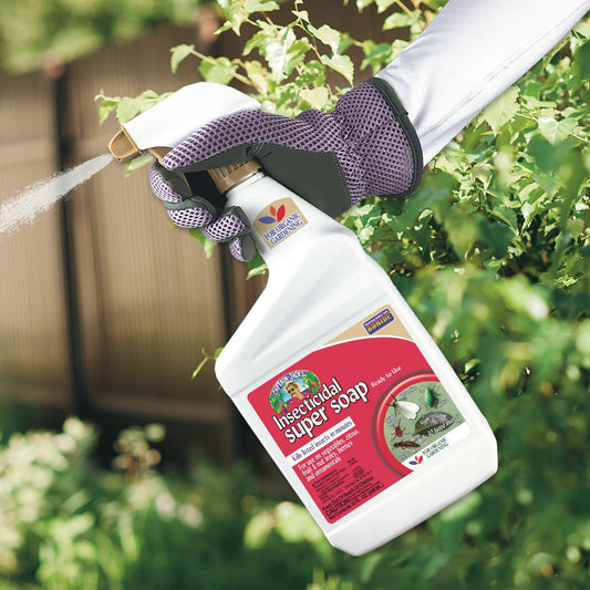 A gloved hand sprays Captain Jack's® Insecticidal Super Soap Ready to Use, with its fast-acting formula, onto green outdoor plants; a wooden fence is blurred in the background - Photo Courtesy of Captain Jacks®