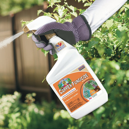 A gloved hand sprays Captain Jack’s® Liquid Copper Fungicide Ready to Use from a white bottle onto leafy green plants in an organic garden, with a blurred wooden fence behind, for effective plant disease control.