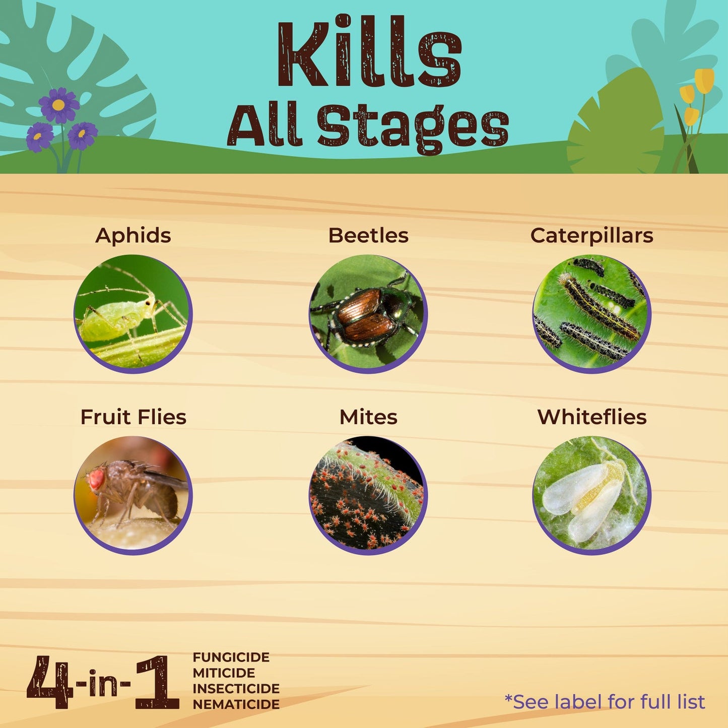 Captain Jack’s® Neem Max Ready to Use offers 4-in-1 organic pest control—works as an insecticide, fungicide, miticide, and nematicide. Cold pressed neem oil kills aphids, beetles, caterpillars, fruit flies, mites & whiteflies at every life stage.