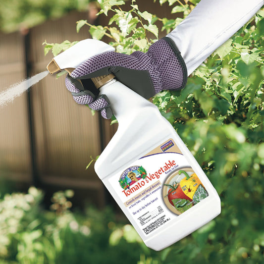 A gloved hand sprays a bottle labeled Captain Jack's® Tomato & Vegetable 3-in-1 Ready to Use at green garden plants. The blurred background highlights the spraying of this insecticide, fungicide, and miticide - Photo Courtesy of Captain Jacks®