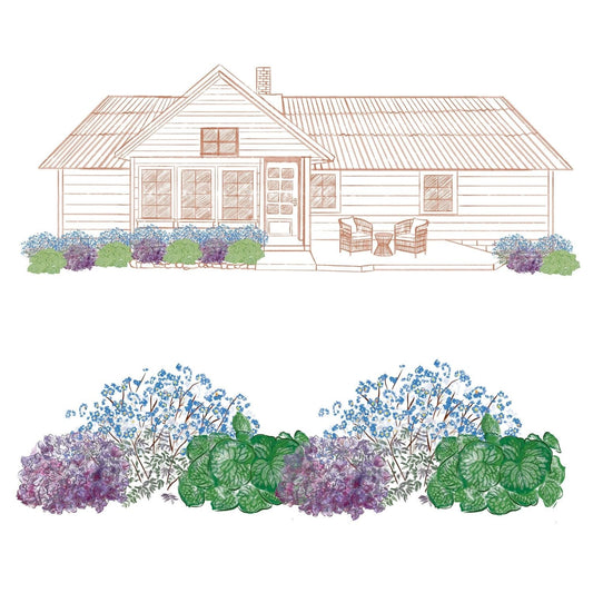Illustration of a house with a porch and seating, featuring an EZ Scapes™ Deer Proof the Shade #1 Garden Kit in the front yard; green, purple, and blue flowering plants are shown in detail with a close-up view below - Photo Courtesy of Walters Gardens, Inc.