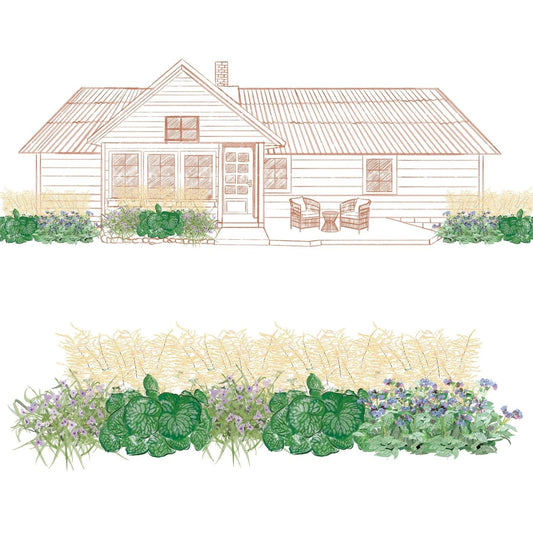 A line drawing of a house with a porch and large windows overlooks a lush garden bed, created with the EZ Scapes™ Fairy Lace Treasure Garden Kit, featuring green foliage, purple and blue flowers, and tall grasses. A close-up of the garden bed is shown below - Photo Courtesy of Walters Gardens, Inc.