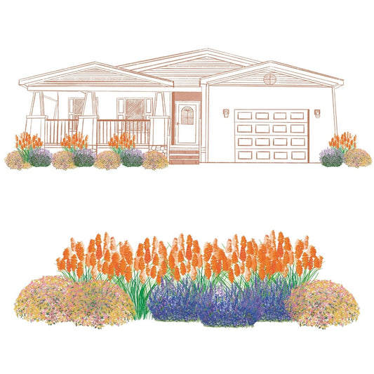 The EZ Scapes™ Buzz & Blooms #1 Garden Kit features a drawing of a single-story house with a porch, surrounded by heat-tolerant plants and colorful shrubs for a vibrant, perennial garden—shown both in front of the house and as a separate landscape layout - Photo Courtesy of Walters Gardens, Inc.