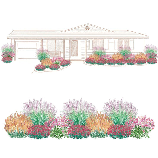 A landscape illustration showcases a single-story house with EZ Scapes™ Carolina Heat Tolerant Garden Kit, featuring vibrant pink, purple, green, and orange flower beds and ornamental grasses in front. A close-up of the planting design is also shown - Photo Courtesy of Walters Gardens, Inc.
