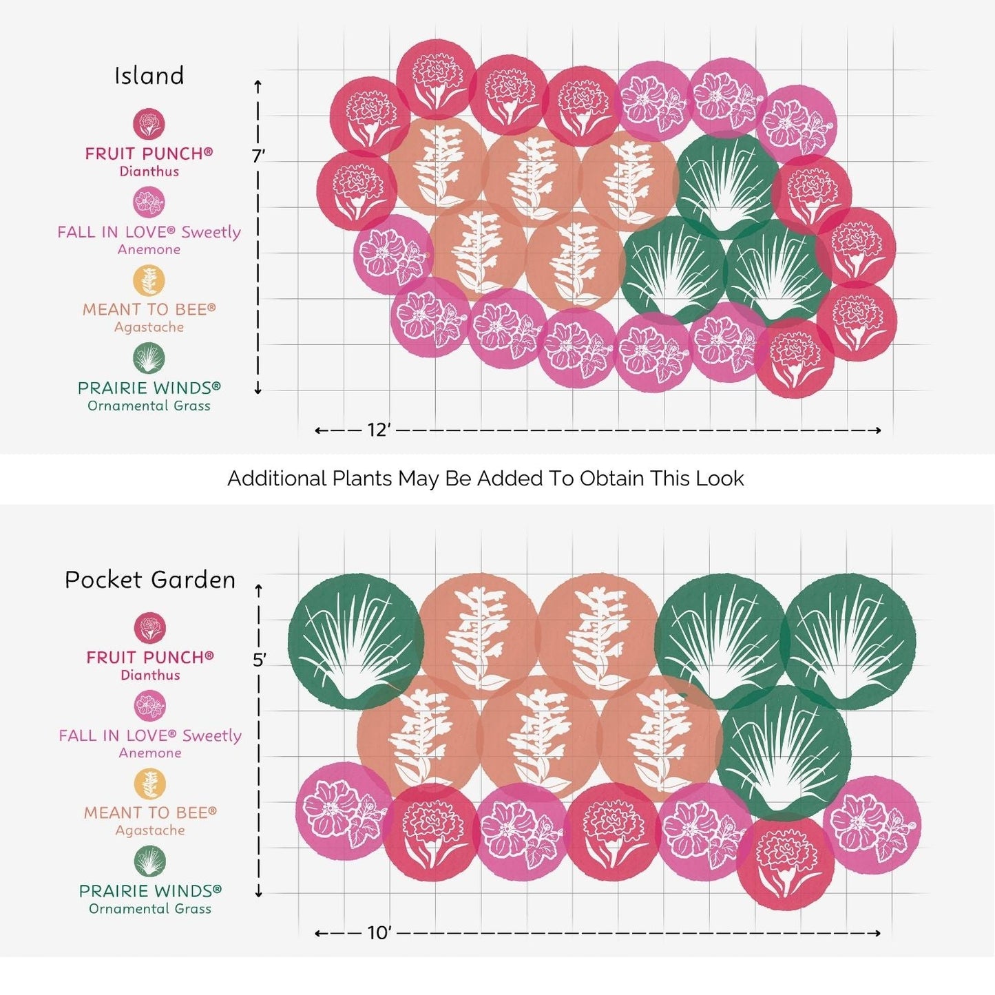 EZ Scapes™ Carolina Heat Tolerant Garden Kit design diagram shows Island and Pocket Garden layouts with color-coded circles for different plants: Dianthus, Anemone, Agastache, and Ornamental Grass, arranged on a spacing grid - Photo Courtesy of Walters Gardens, Inc.