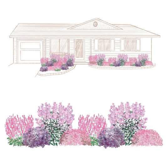 Illustration of a single-story house with pink and purple pollinator flower beds. Below is a close-up of the colorful landscaping, created using the EZ Scapes™ Dry Space Filler #2 Garden Kit - Photo Courtesy of Walters Gardens, Inc.