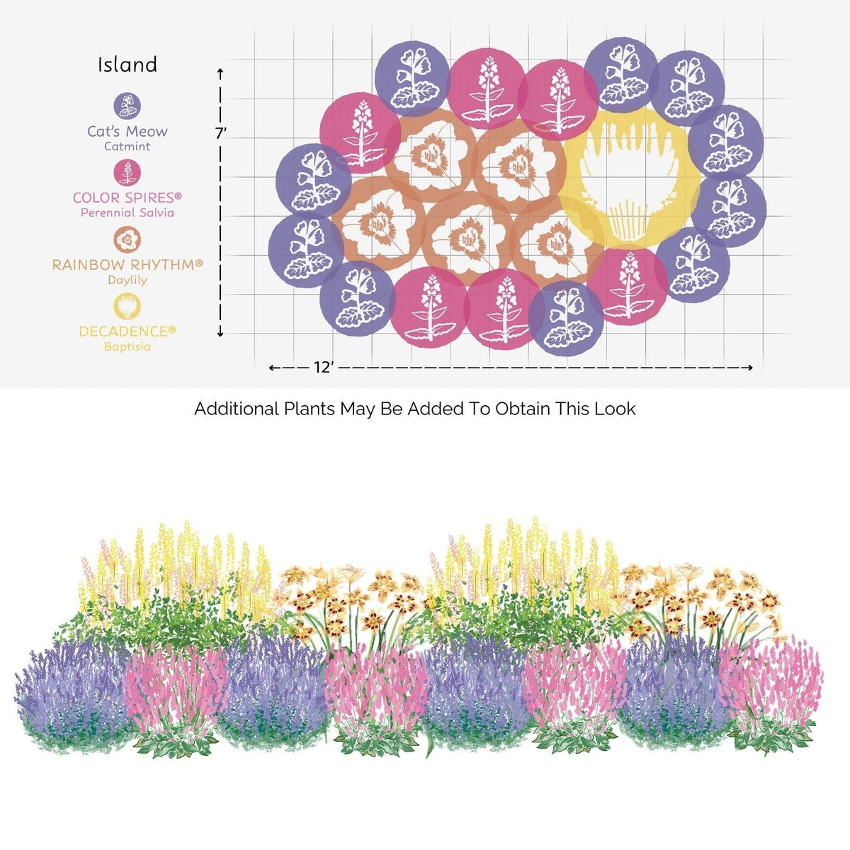 The EZ Scapes™ Dry Space Filler #3 Garden Kit features a garden bed layout with labeled circles in purple, pink, yellow, and blue for drought-tolerant perennials and includes a side-view of blooming flower layers. Expand this pollinator-friendly design easily - Photo Courtesy of Walters Gardens, Inc.
