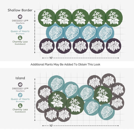 Diagram showing two garden layouts: a Shallow Border with Heuchera, Brunnera, and Goatsbeard in a 10x5 area, and an Island with a circular mix—perfect inspiration for the EZ Scapes™ Made for the Shade #2 Garden Kit. - Photo Courtesy of Walters Gardens, Inc.