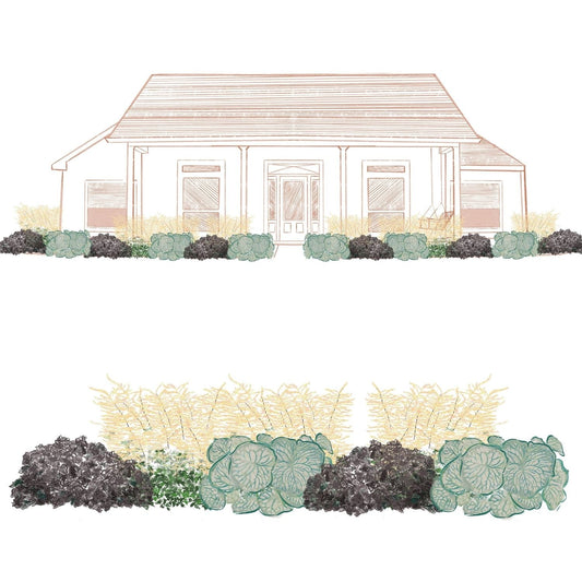 A line drawing of a house with a front yard garden, featuring clusters of perennial shade plants from the EZ Scapes™ Made for the Shade #2 Garden Kit in shades of green and gray along the front porch and windows. - Photo Courtesy of Walters Gardens, Inc.