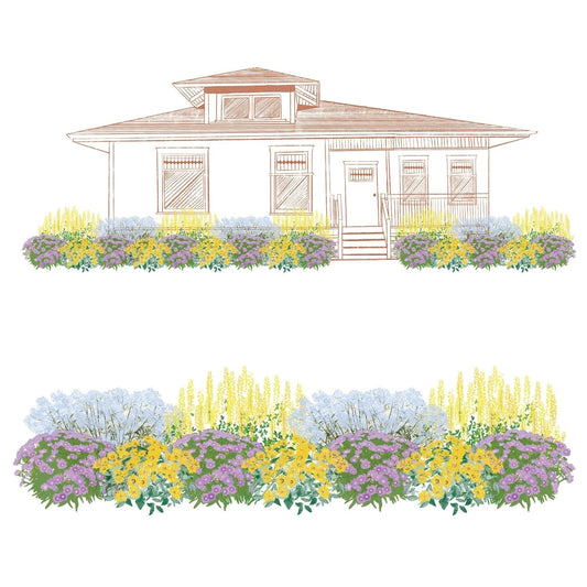 Illustration of a house with a landscaped garden using the EZ Scapes™ Native Roots in the Southeast Garden Kit, featuring symmetrical clusters of yellow, purple, and light blue blooms along the house base and in a front-facing view. - Photo Courtesy of Walters Gardens, Inc.