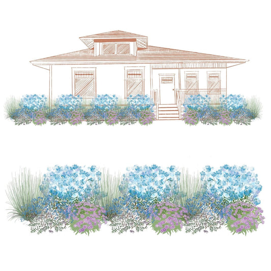 EZ Scapes™ No Thank You Deer #2 Garden Kit: Illustration of a house with a front yard garden featuring clusters of blue and purple flowering plants, green grasses, and shrubs in a lush, layered landscape. - Photo Courtesy of Walters Gardens, Inc.
