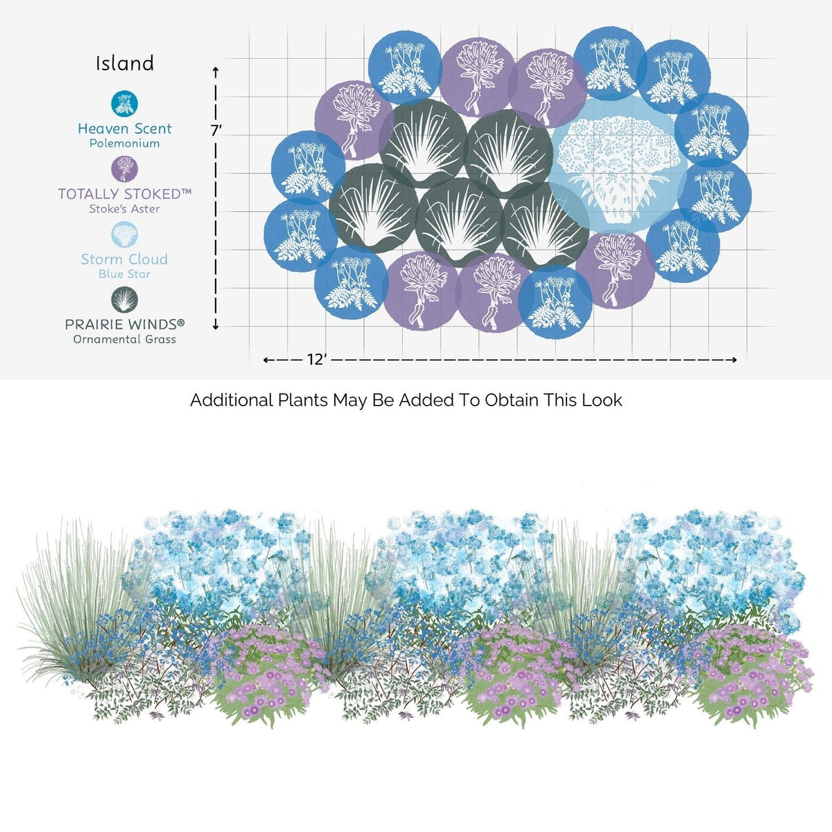 Diagram and illustration featuring the EZ Scapes™ No Thank You Deer #2 Garden Kit, with clusters of ornamental grasses, purple and blue flowering plants, and a labeled planting layout for a 12x7 island garden bed. - Photo Courtesy of Walters Gardens, Inc.