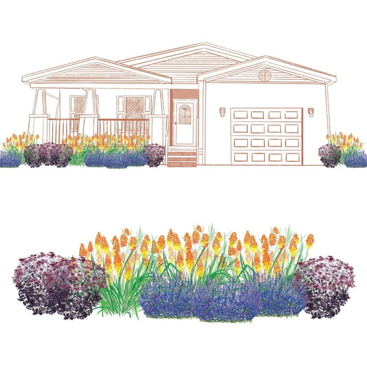 The EZ Scapes™ Pollinator for the South #1 Garden Kit creates a vibrant landscape with tall orange flowers, green grasses, purple and blue shrubs, and yellow blooms around your porch, garage, and as a border. - Photo Courtesy of Walters Gardens, Inc.