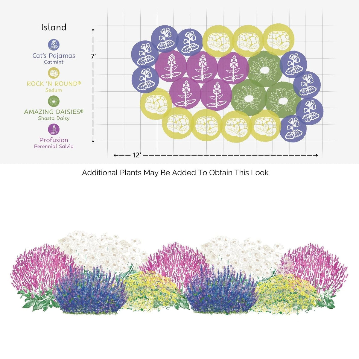 The EZ Scapes™ Pollinator Power Garden Kit features clusters of low-maintenance perennials like catmint, sedum, shasta daisy, and perennial salvia in a 12x7 grid for a colorful, butterfly-friendly garden. See the front view illustration below. - Photo Courtesy of Walters Gardens, Inc.