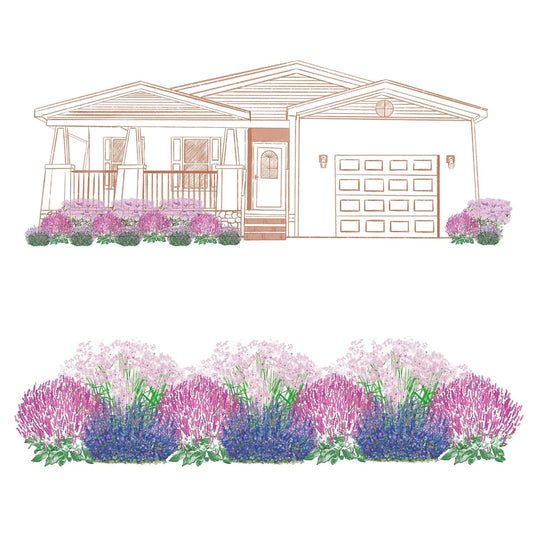 The EZ Scapes™ Pollinator Sunscape #4 Garden Kit creates colorful flower beds with purple, pink, and blue blooms, enhancing the front of a single-story house with a porch and garage. - Photo Courtesy of Walters Gardens, Inc.