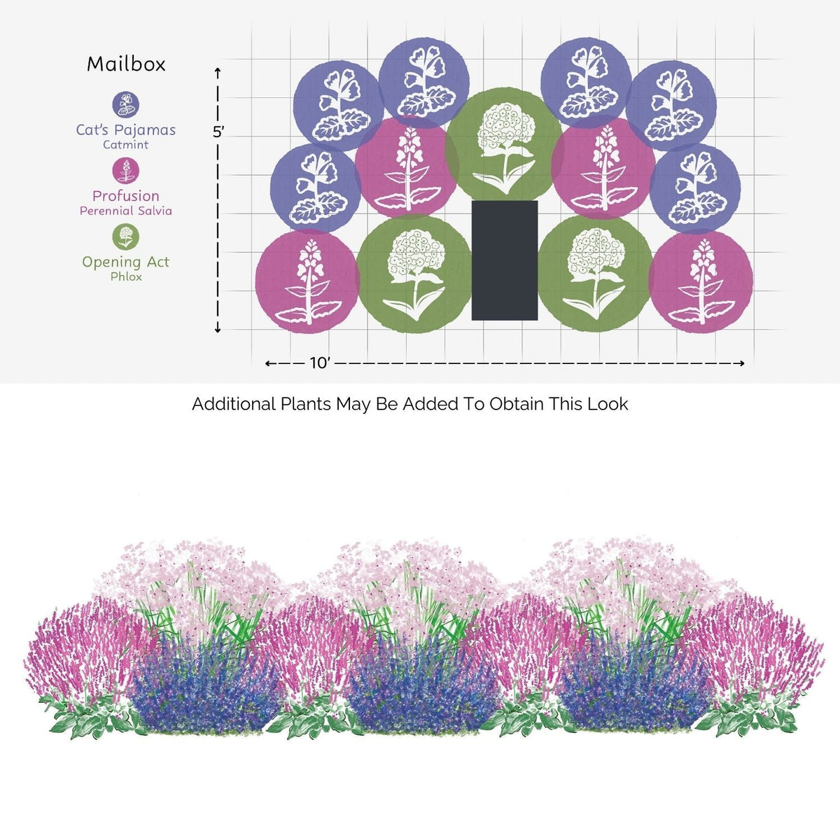 The EZ Scapes™ Pollinator Sunscape #4 Garden Kit includes a planting diagram and illustration for a mailbox garden with alternating clusters of pink phlox, purple catmint, and magenta salvia in a semicircle around your mailbox. - Photo Courtesy of Walters Gardens, Inc.