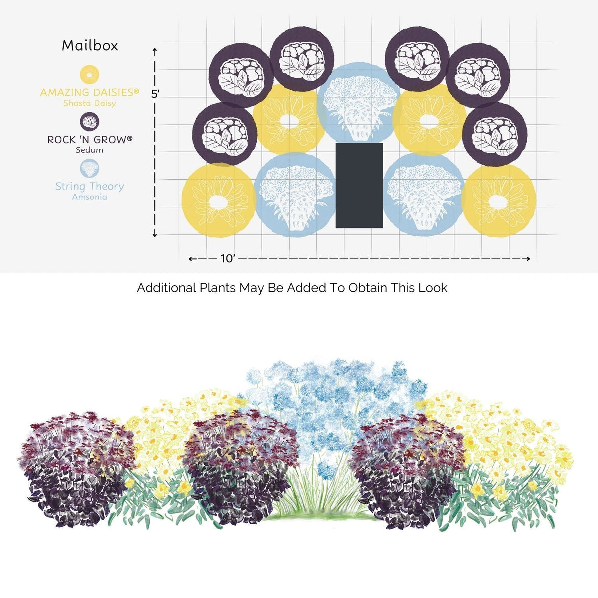 A diagram displays the EZ Scapes™ Season Long Interest #1 Garden Kit layout: circular groups of yellow daisies, blue sedum, and purple artemisia behind a mailbox, plus an illustrated side view of the perennial blooms. - Photo Courtesy of Walters Gardens, Inc.