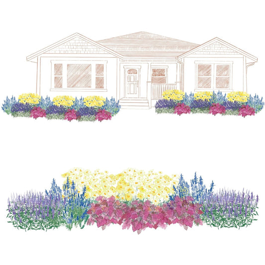 A single-story house with front flower beds planted using the EZ Scapes™ Season Long Interest #2 Garden Kit, featuring yellow, purple, and pink blooms; close-up shows dense pollinator-friendly perennials and lush foliage. - Photo Courtesy of Walters Gardens, Inc.