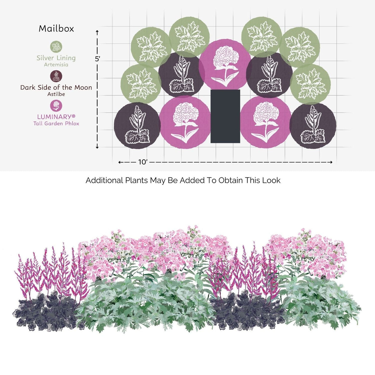 Illustration of a garden bed plan for a mailbox area using the EZ Scapes™ Season Long Interest #3 Garden Kit, with labeled Artemisia, Astilbe, and Phlox. Below is a view showing their pink, purple, and silvery foliage and blooms. - Photo Courtesy of Walters Gardens, Inc.