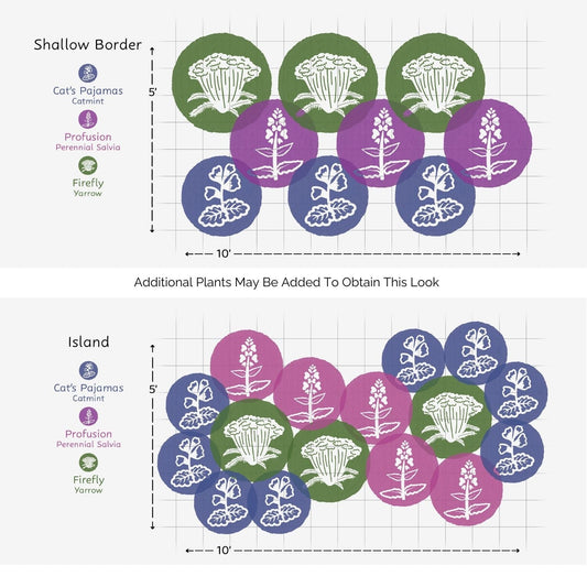 Diagram showing plant layout with colored circles and measurements - Photo Courtesy of Walters Gardens, Inc.