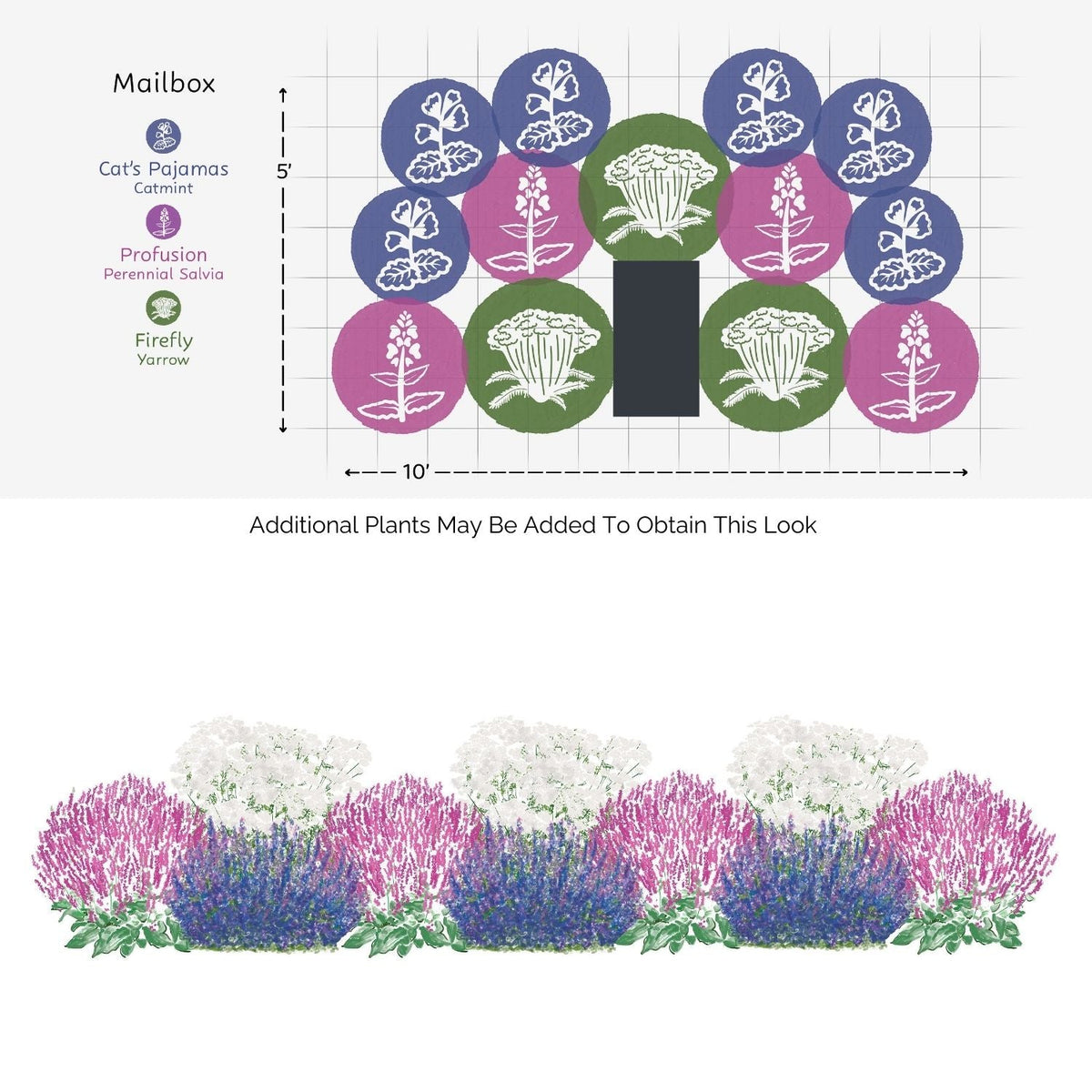 Garden design with plant labels on a white background - Photo Courtesy of Walters Gardens, Inc.
