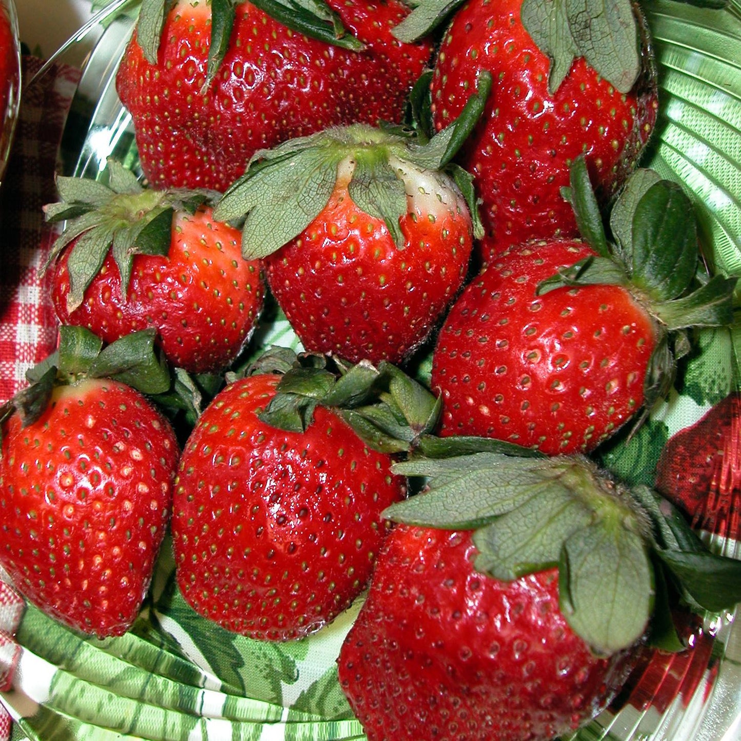 A close-up of fresh, ripe ‘Allstar’ Strawberry - Junebearing (Fragaria) with green leaves, displayed on a green and white plate. The strawberries are red with visible seeds and look juicy - Photo Courtesy of Walters Gardens, Inc.