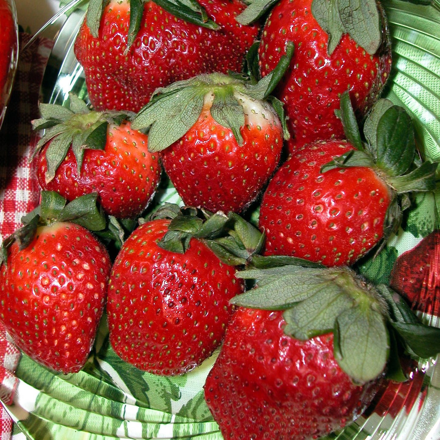 A close-up of a bowl filled with ripe Eversweet’ Strawberry-Everbearing (Fragaria) with green leaves, set on a red and green patterned surface - Photo Courtesy of Walters Gardens, Inc.
