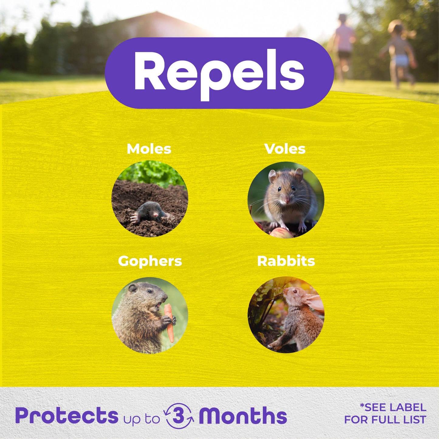 Bonide® MoleMax® Mole & Vole Repellent Granules - Photo Courtesy of Bonide®