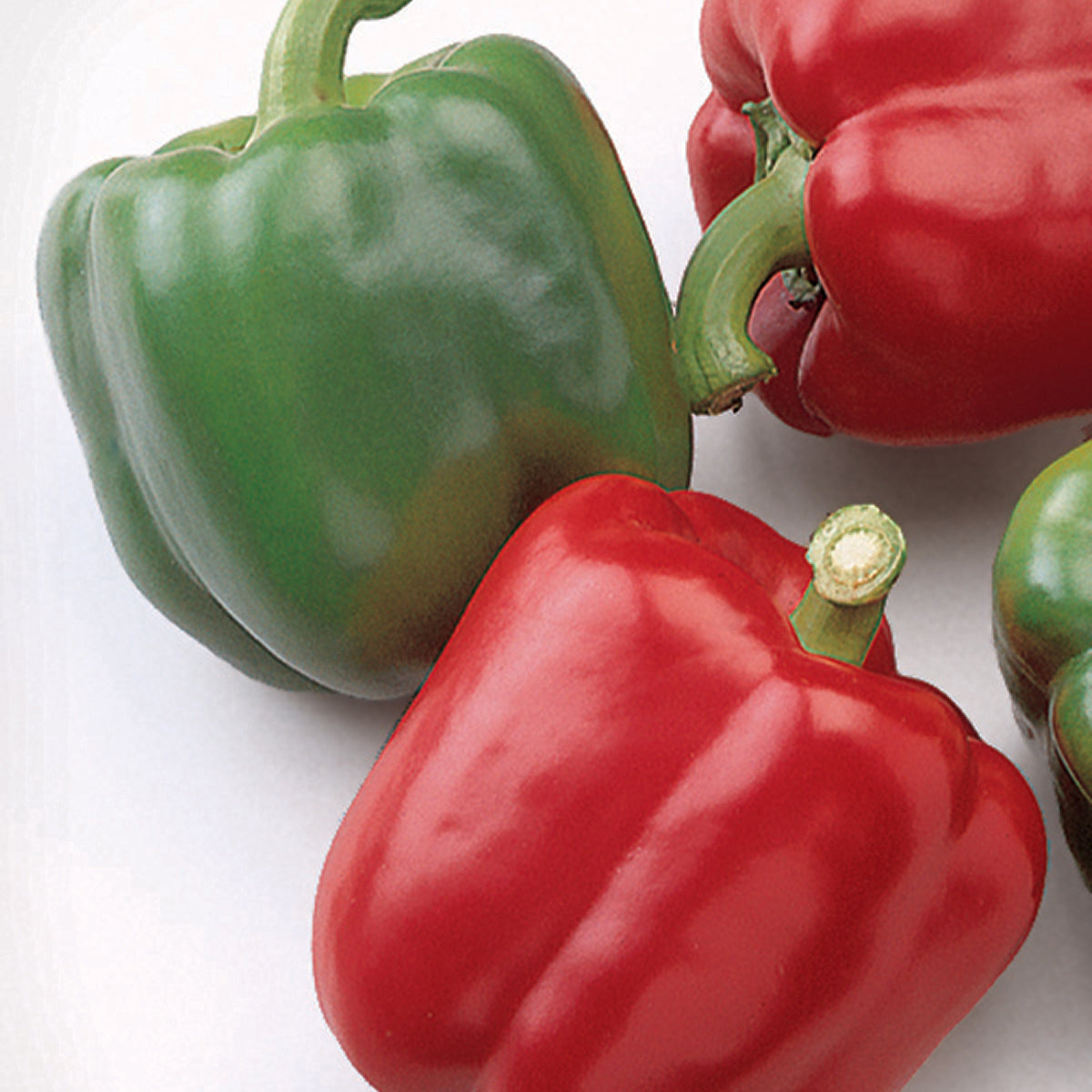 Two red and one green Baron' Pepper (Capsicum) with smooth, glossy skin and thick walls rest on a white surface, showcasing their prominent stems - Photo Courtesy of Burpee.