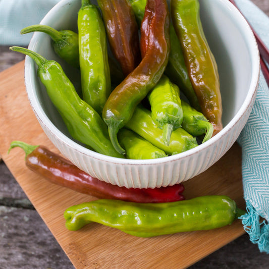 A white bowl filled with green and partially red Dragon Roll' Peppers (Capsicum) sits on a wooden surface with extra peppers beside the bowl - Photo Courtesy of Ball Horticulture, Inc. Decorative pot not included.