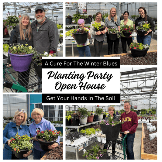 four photos of people planting flowers in containers around the text planting party open house - -