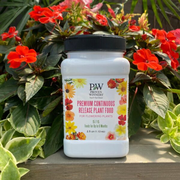 A container of Premium Continuous Release Plant Food sits outdoors on a table, surrounded by green leaves and red flowering plants bathed in bright natural light - Photo Courtesy of Proven Winners, Inc.