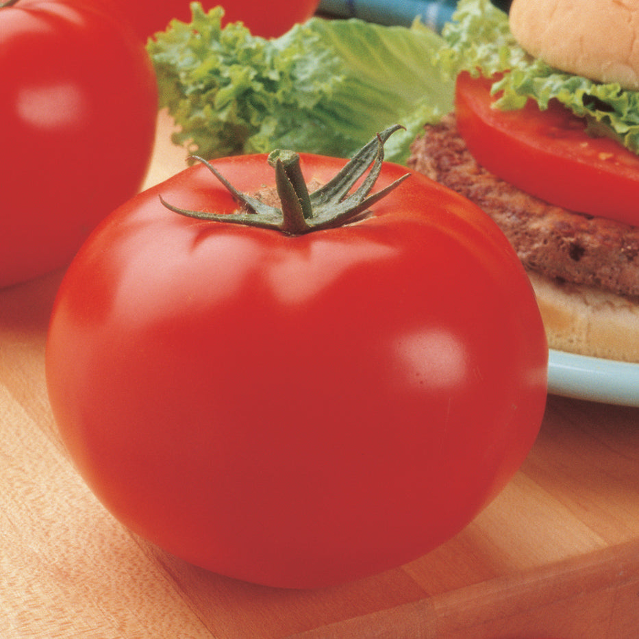 A close-up of a ripe Big Beef' Tomato (Lycopersicon) on a wooden surface, with leafy greens and part of a hamburger topped with tomato and lettuce visible in the background - Photo Courtesy of Burpee.