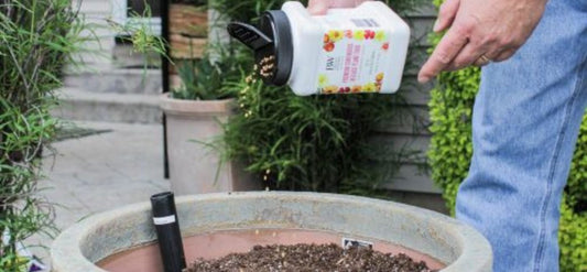 Person pouring fertilizer from a bottle into a pot with soil outdoors