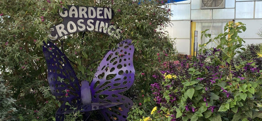 Decorative butterfly and 'Garden Crossings' sign in a garden setting.