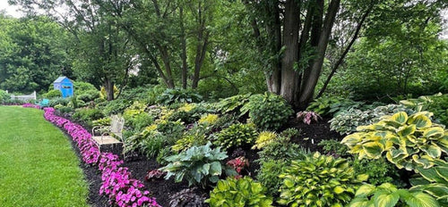 Garden with a variety of plants, flowers, and trees on a sunny day.